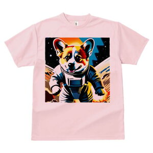 R[M[ TVc fB[X t@  t  vg JWA 킢 lԗp h ̃fUC ʔ F R[M[ F