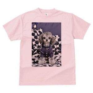 gCv[h TVc fB[X t@  t  vg JWA 킢 lԗp h ̃fUC ʔ  gCv[h jbg