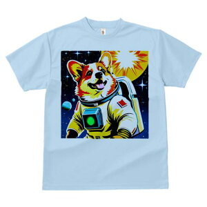 R[M[ TVc fB[X t@  t  vg JWA 킢 lԗp h ̃fUC ʔ F R[M[ F 