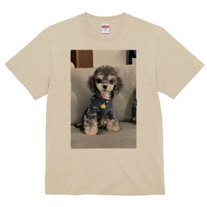 gCv[h TVc fB[X t@  t  vg JWA 킢 lԗp h ̃fUC ʔ pW} gCv[h 