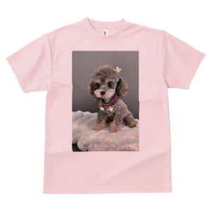 gCv[h TVc Y LbY t@  t  vg JWA 킢 lԗp h ̃fUC ʔ ʂ gCv[h 