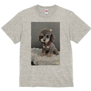 gCv[h TVc fB[X t@  t  vg JWA 킢 lԗp h ̃fUC ʔ ʂ gCv[h 