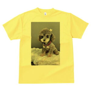 gCv[h TVc fB[X t@  t  vg JWA 킢 lԗp h ̃fUC ʔ ʂ gCv[h 