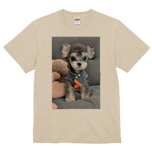 ~j`AViEU[ TVc fB[X t@  t  vg JWA 킢 lԗp h ̃fUC ʔ ʂ ~j`AViEU[ 