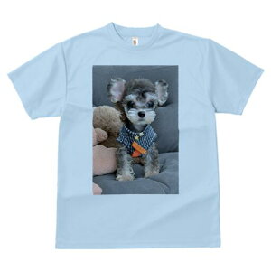 ~j`AViEU[ TVc fB[X t@  t  vg JWA 킢 lԗp h ̃fUC ʔ ʂ ~j`AViEU[ 