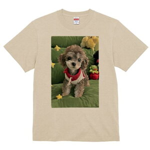 gCv[h TVc fB[X t@  t  vg JWA 킢 lԗp h ̃fUC ʔ ʂ gCv[h 