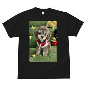 gCv[h TVc fB[X t@  t  vg JWA 킢 lԗp h ̃fUC ʔ ʂ gCv[h 