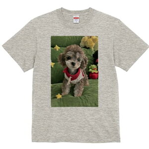 gCv[h TVc fB[X t@  t  vg JWA 킢 lԗp h ̃fUC ʔ ʂ gCv[h 