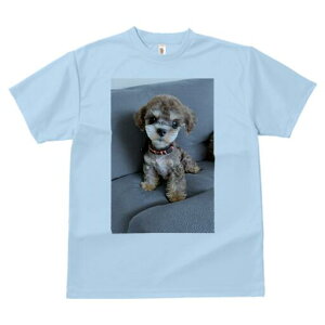 }v[ TVc fB[X t@  t  vg JWA 킢 lԗp h ̃fUC ʔ \t@ }v[