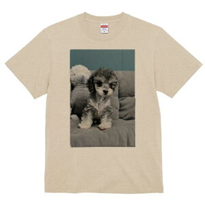 gCv[h TVc fB[X t@  t  vg JWA 킢 lԗp h ̃fUC ʔ ʂ gCv[h