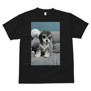 トイプードル Tシャツ メンズ キッズ 犬ファン 半袖 春夏 犬柄 プリント カジュアル かわいい 人間用 個性派 ここだけのデザイン 面白 ぬいぐるみ トイプードル