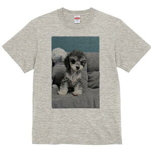 gCv[h TVc fB[X t@  t  vg JWA 킢 lԗp h ̃fUC ʔ ʂ gCv[h