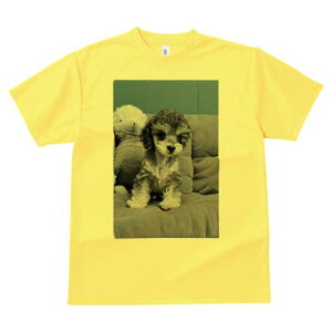 gCv[h TVc Y LbY t@  t  vg JWA 킢 lԗp h ̃fUC ʔ ʂ gCv[h