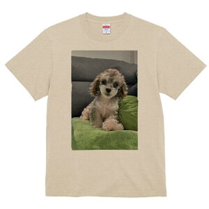 }v[ TVc fB[X t@  t  vg JWA 킢 lԗp h ̃fUC ʔ \t@ }v[ NbV