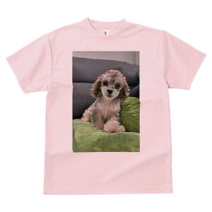 }v[ TVc fB[X t@  t  vg JWA 킢 lԗp h ̃fUC ʔ \t@ }v[ NbV