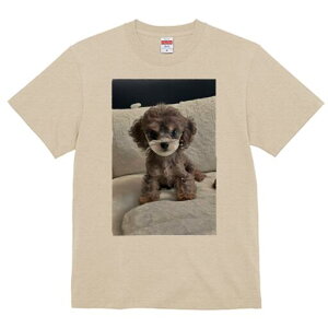 gCv[h TVc fB[X t@  t  vg JWA 킢 lԗp h ̃fUC ʔ ʂ gCv[h NbV