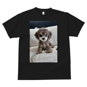 gCv[h TVc fB[X t@  t  vg JWA 킢 lԗp h ̃fUC ʔ ʂ gCv[h NbV