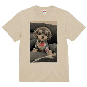 }v[ TVc fB[X t@  t  vg JWA 킢 lԗp h ̃fUC ʔ TVc }v[ 