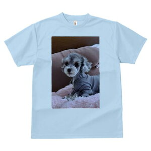 ~j`AViEU[ TVc fB[X t@  t  vg JWA 킢 lԗp h ̃fUC ʔ  ~j`AViEU[ sN̖ѕz