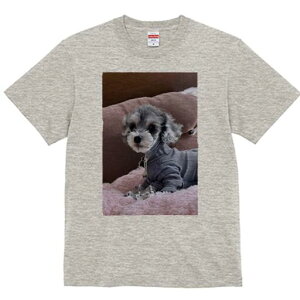 ~j`AViEU[ TVc fB[X t@  t  vg JWA 킢 lԗp h ̃fUC ʔ  ~j`AViEU[ sN̖ѕz