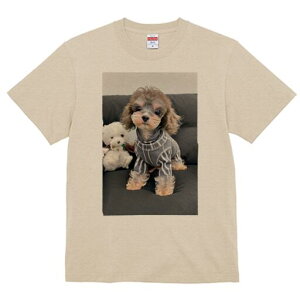 [NV[eA,}`[Y TVc Y LbY t@  t  vg JWA 킢 lԗp h ̃fUC ʔ ʂ [NV[eA,}