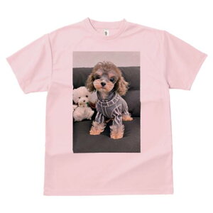 [NV[eA,}`[Y TVc fB[X t@  t  vg JWA 킢 lԗp h ̃fUC ʔ ʂ [NV[eA,}`