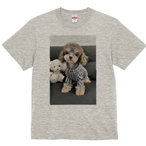 [NV[eA,}`[Y TVc fB[X t@  t  vg JWA 킢 lԗp h ̃fUC ʔ ʂ [NV[eA,}`