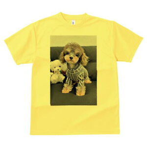 [NV[eA,}`[Y TVc fB[X t@  t  vg JWA 킢 lԗp h ̃fUC ʔ ʂ [NV[eA,}`