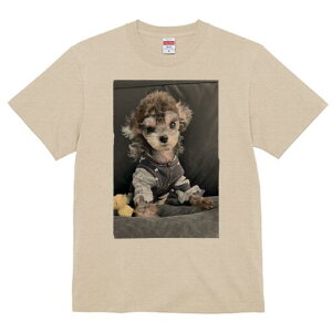 gCv[h TVc fB[X t@  t  vg JWA 킢 lԗp h ̃fUC ʔ ʂ gCv[h 