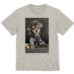 トイプードル Tシャツ メンズ キッズ 犬ファン 半袖 春夏 犬柄 プリント カジュアル かわいい 人間用 個性派 ここだけのデザイン 面白 ぬいぐるみ トイプードル 服