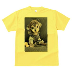 gCv[h TVc fB[X t@  t  vg JWA 킢 lԗp h ̃fUC ʔ ʂ gCv[h 