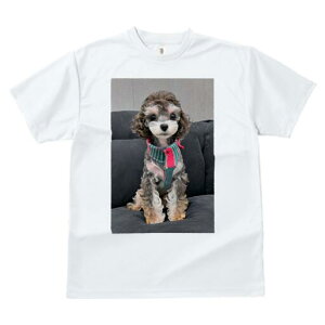 gCv[h TVc fB[X t@  t  vg JWA 킢 lԗp h ̃fUC ʔ gCv[h