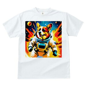 R[M[ TVc fB[X t@  t  vg JWA 킢 lԗp h ̃fUC ʔ F R[M[ F  f