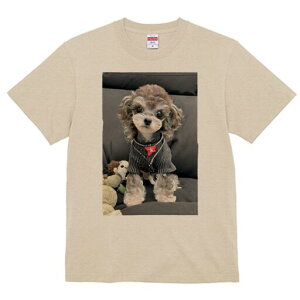 トイプードル Tシャツ レディース 犬ファン 半袖 春夏 犬柄 プリント カジュアル かわいい 人間用 個性派 ここだけのデザイン 面白 ぬいぐるみ トイプードル 服 リボン