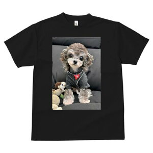 gCv[h TVc fB[X t@  t  vg JWA 킢 lԗp h ̃fUC ʔ ʂ gCv[h  {