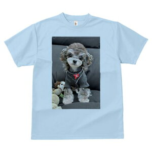 gCv[h TVc Y LbY t@  t  vg JWA 킢 lԗp h ̃fUC ʔ ʂ gCv[h  {