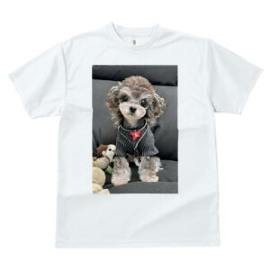 gCv[h TVc fB[X t@  t  vg JWA 킢 lԗp h ̃fUC ʔ ʂ gCv[h  {