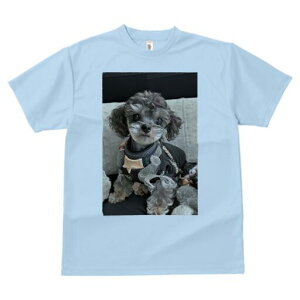 }v[ TVc fB[X t@  t  vg JWA 킢 lԗp h ̃fUC ʔ  }v[ Z[^[