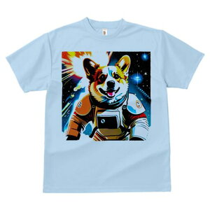 R[M[ TVc fB[X t@  t  vg JWA 킢 lԗp h ̃fUC ʔ F R[M[ F Xy[X