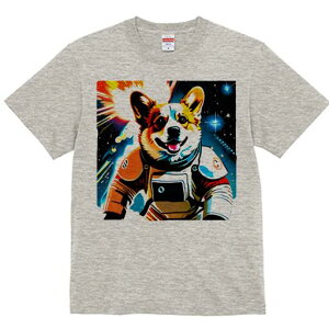 R[M[ TVc fB[X t@  t  vg JWA 킢 lԗp h ̃fUC ʔ F R[M[ F Xy[X