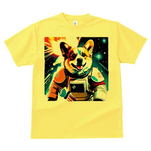 R[M[ TVc fB[X t@  t  vg JWA 킢 lԗp h ̃fUC ʔ F R[M[ F Xy[X
