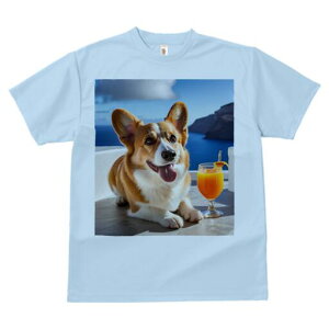 R[M[ TVc fB[X t@  t  vg JWA 킢 lԗp h ̃fUC ʔ C R[M[  hN JNe