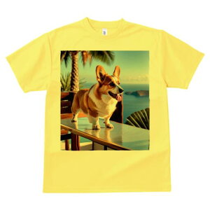 EFVR[M[ TVc fB[X t@  t  vg JWA 킢 lԗp h ̃fUC ʔ C EFVR[M[ V̖ ][g