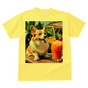 R[M[ TVc fB[X t@  t  vg JWA 킢 lԗp h ̃fUC ʔ JNe R[M[ Xg[  IW