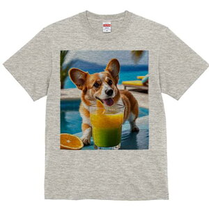 R[M[ TVc fB[X t@  t  vg JWA 킢 lԗp h ̃fUC ʔ W[X R[M[ IW v[