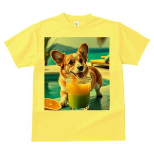 R[M[ TVc fB[X t@  t  vg JWA 킢 lԗp h ̃fUC ʔ W[X R[M[ IW v[