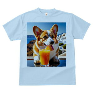 R[M[ TVc fB[X t@  t  vg JWA 킢 lԗp h ̃fUC ʔ W[X R[M[ IW