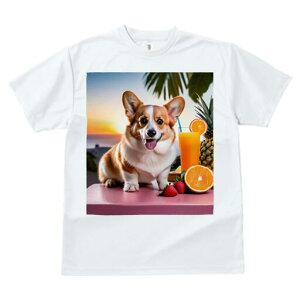 R[M[ TVc fB[X t@  t  vg JWA 킢 lԗp h ̃fUC ʔ IWW[X R[M[ pCibv IW 