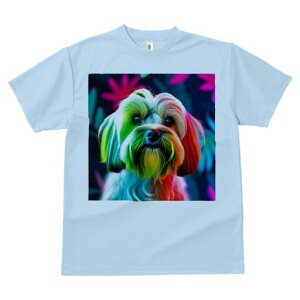 }`[Y TVc fB[X t@  t  vg JWA 킢 lԗp h ̃fUC ʔ Jt }`[Y |bv