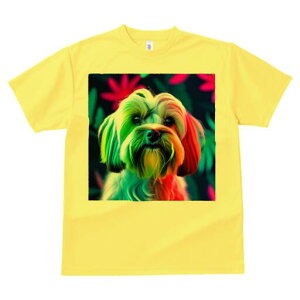 }`[Y TVc fB[X t@  t  vg JWA 킢 lԗp h ̃fUC ʔ Jt }`[Y |bv